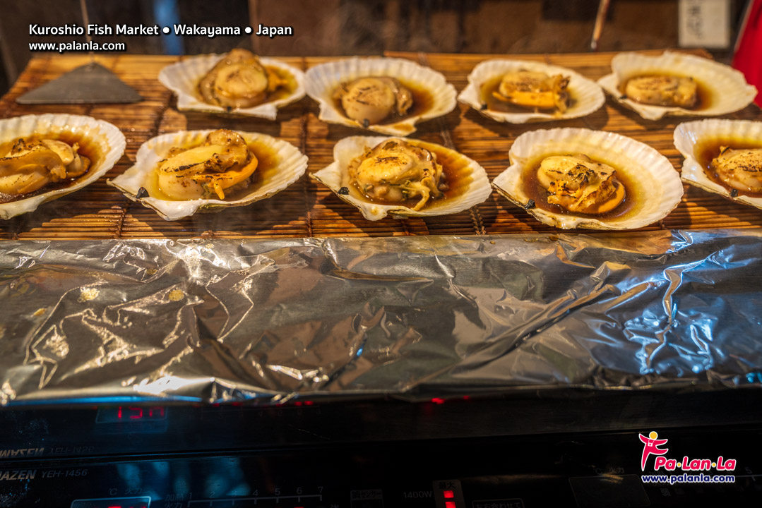 Kuroshio Fish Market